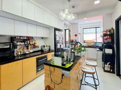 Joo Chiat Apartments (D15), Apartment #568899141